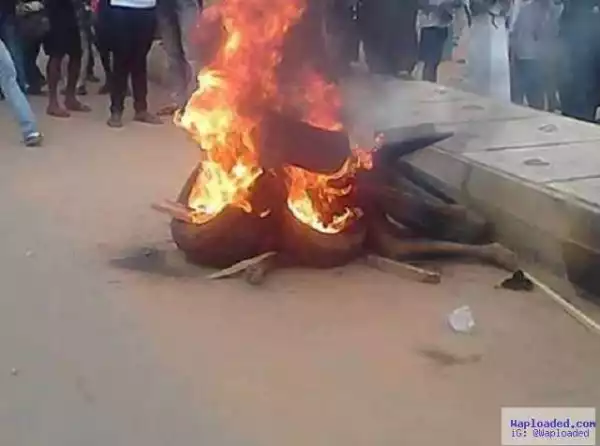 Graphic Photos: Two Keke Napep thieves burnt to death in Delta State